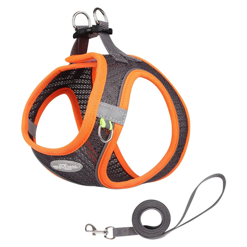 Adjustable Dog Harness Leash Set for Small Dogs