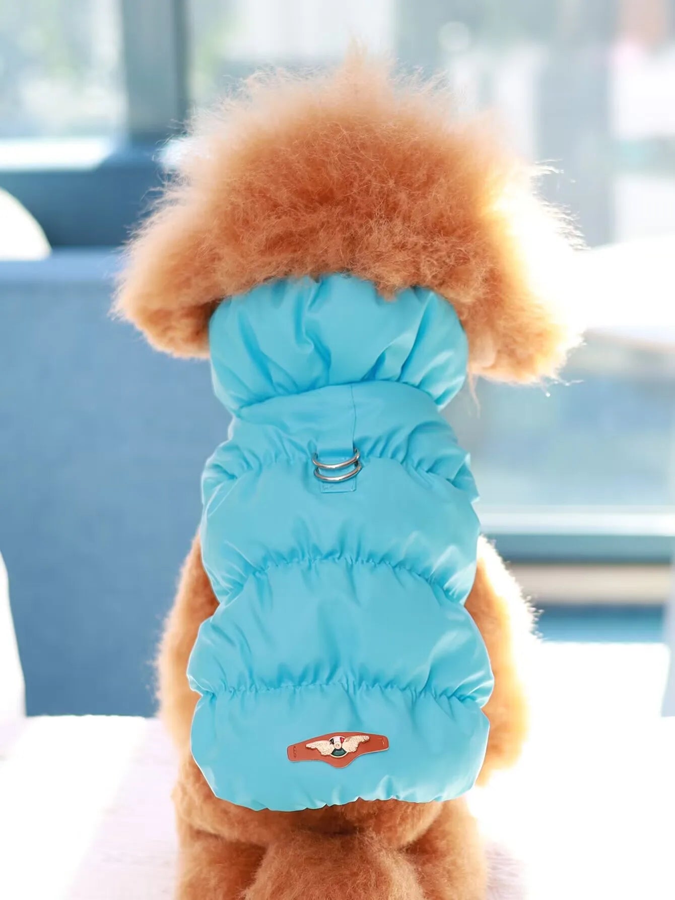 3-Layer Warm Dog Jacket for Autumn & Winter – Cozy Pet Coat for Small to Medium Dogs (Poodle, Teddy, Yorkie)
