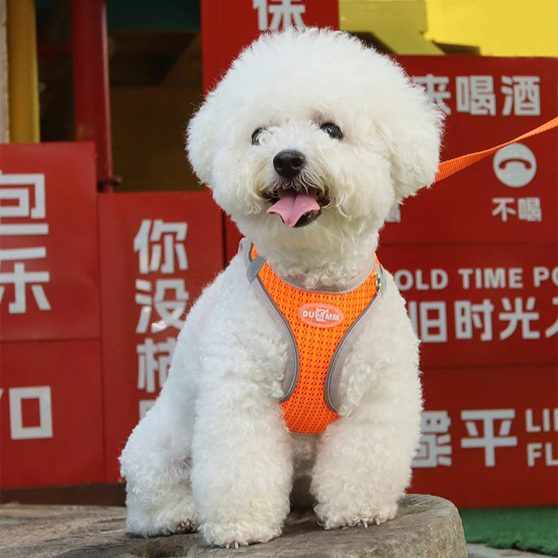 Adjustable Dog Harness Leash Set for Small Dogs