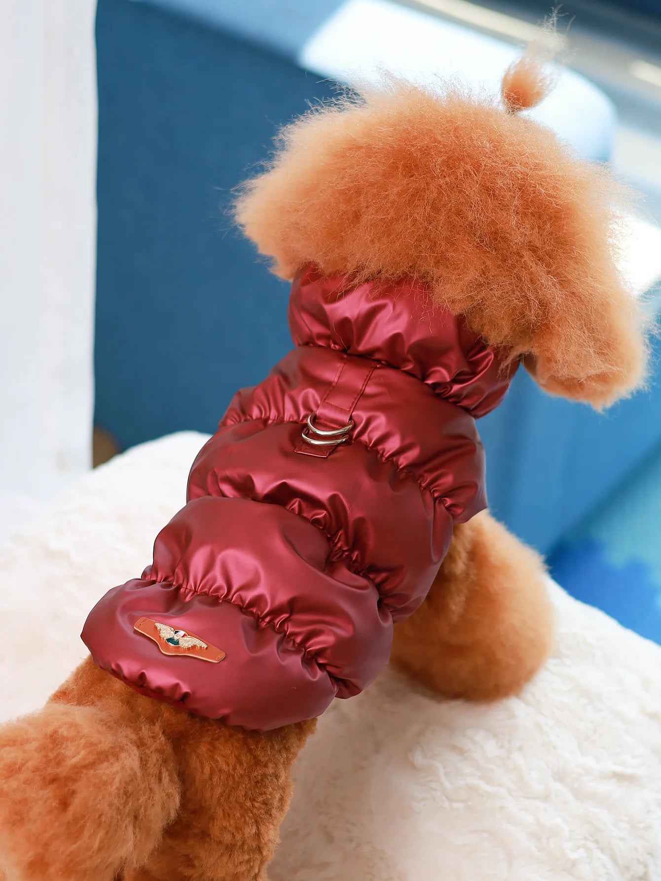 3-Layer Warm Dog Jacket for Autumn & Winter – Cozy Pet Coat for Small to Medium Dogs (Poodle, Teddy, Yorkie)