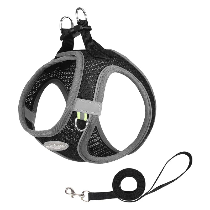 Adjustable Dog Harness Leash Set for Small Dogs