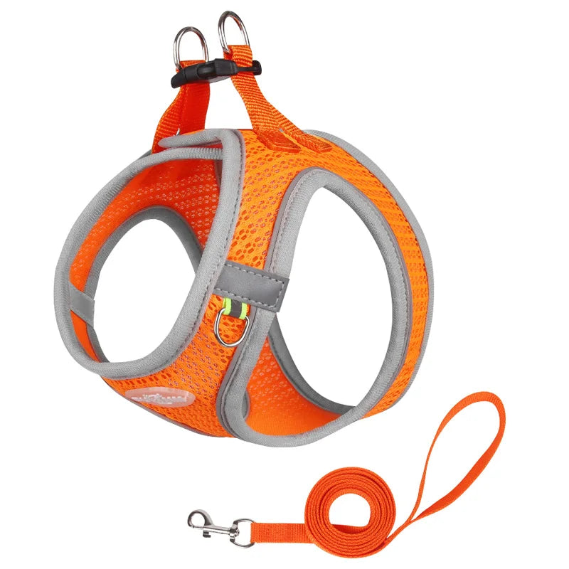 Adjustable Dog Harness Leash Set for Small Dogs