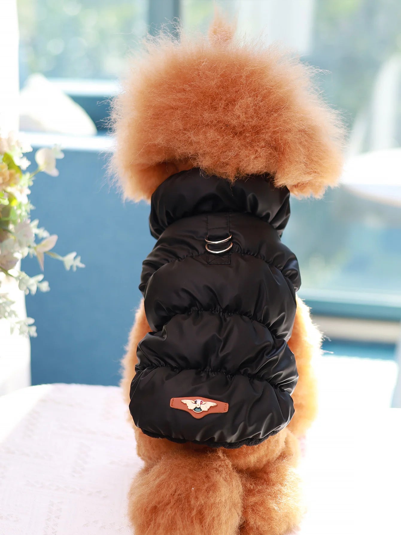 3-Layer Warm Dog Jacket for Autumn & Winter – Cozy Pet Coat for Small to Medium Dogs (Poodle, Teddy, Yorkie)