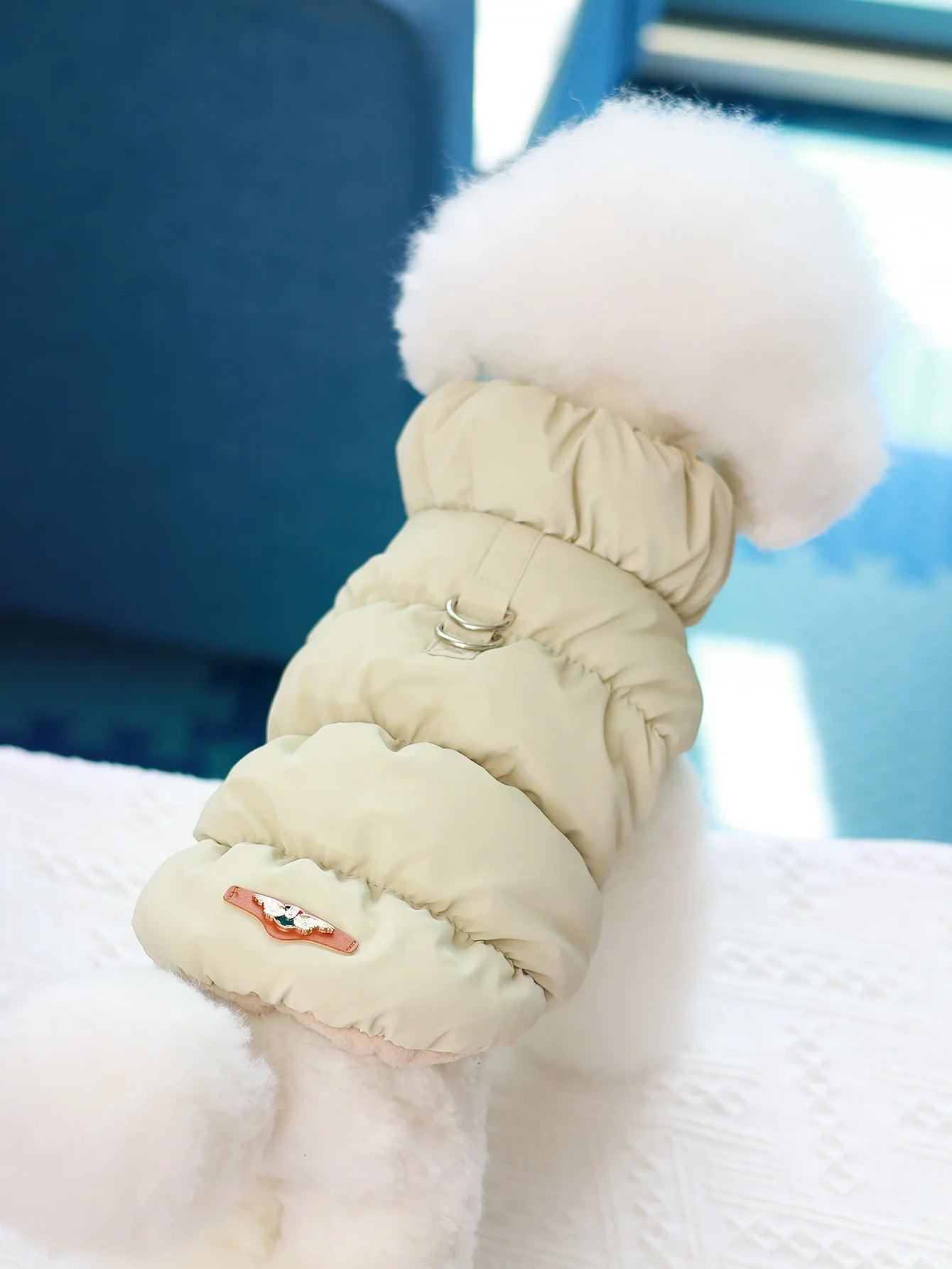 3-Layer Warm Dog Jacket for Autumn & Winter – Cozy Pet Coat for Small to Medium Dogs (Poodle, Teddy, Yorkie)