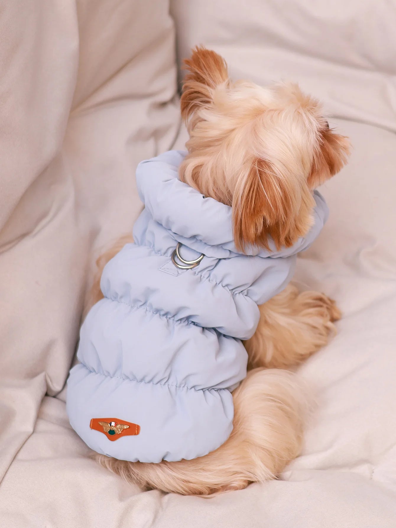 3-Layer Warm Dog Jacket for Autumn & Winter – Cozy Pet Coat for Small to Medium Dogs (Poodle, Teddy, Yorkie)