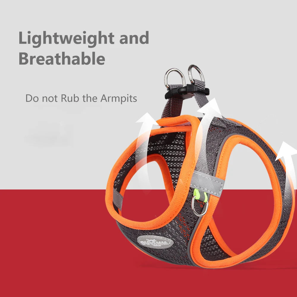 Adjustable Dog Harness Leash Set for Small Dogs