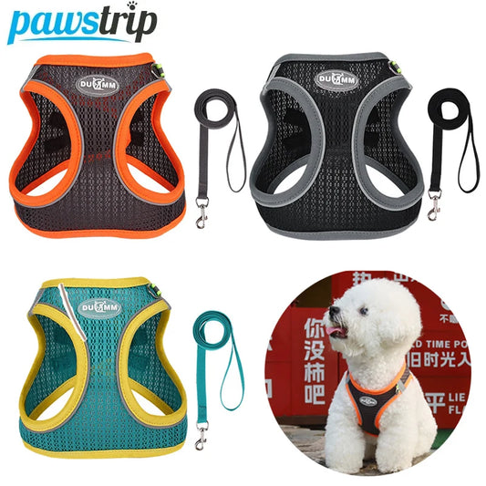 Adjustable Dog Harness Leash Set for Small Dogs